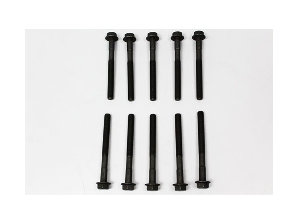 Tornillo Culata