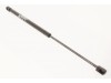 Strut - Tailgate - Rear Door - Gas - Upper