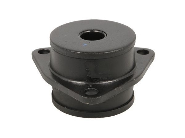 Pareja Silentblock de Serie Tirante Trasero - Carrocería