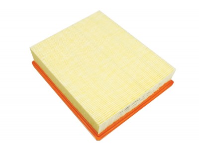 Filter Air Td5 - MAHLE