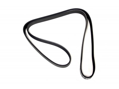 DAYCO-Correa Alternador - Sin Aire Acondicionado TD5