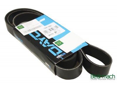 Belt - Polyvee - 14L Manual - Zircon 300TDI - DAYCO