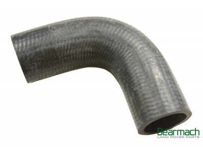 Hose - Radiator Bottom