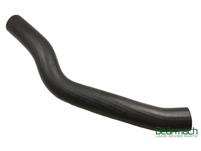 Hose - Radiator